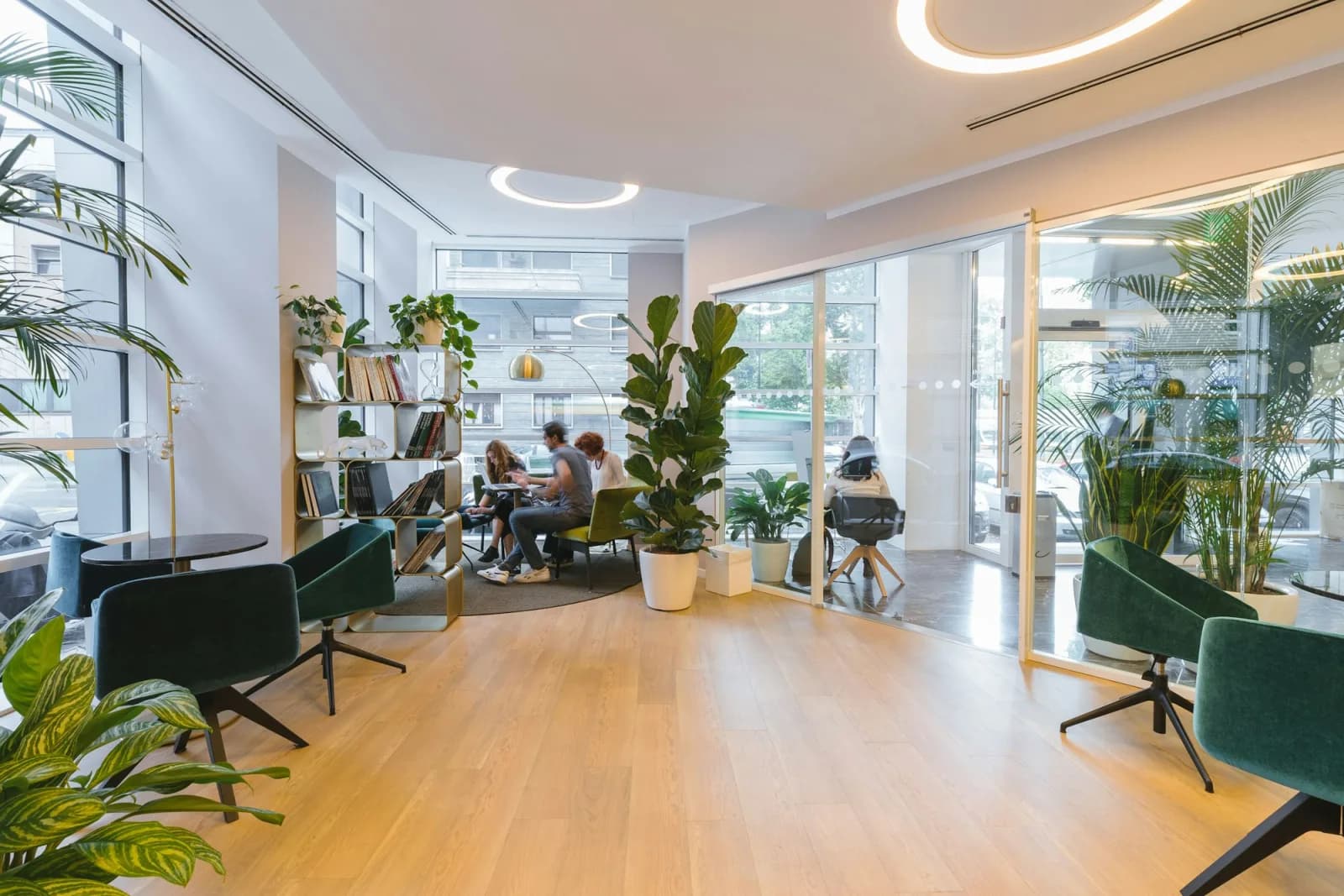 Espace de travail partagé lumineux avec fauteuils verts, grandes plantes, baies vitrées et plancher de bois clair